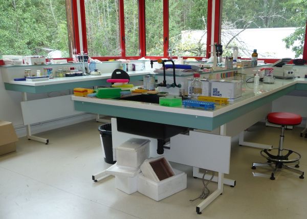 labo-bio-mol-5.jpg